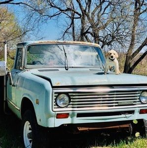 Meet your Posher, Zac